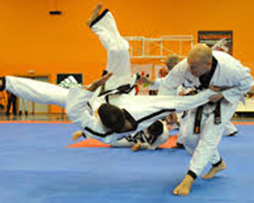 Hapkido